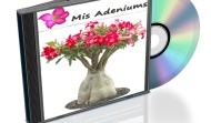 modulo curso apps