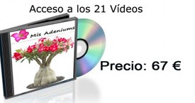 Curso Completo.
